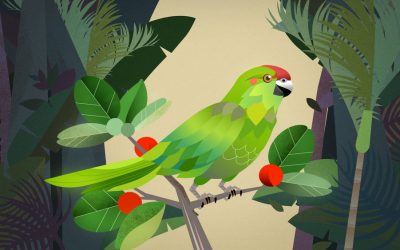 001: Weathering The Ups & Downs of Life as a Freelancer w/ Lilian Darmono